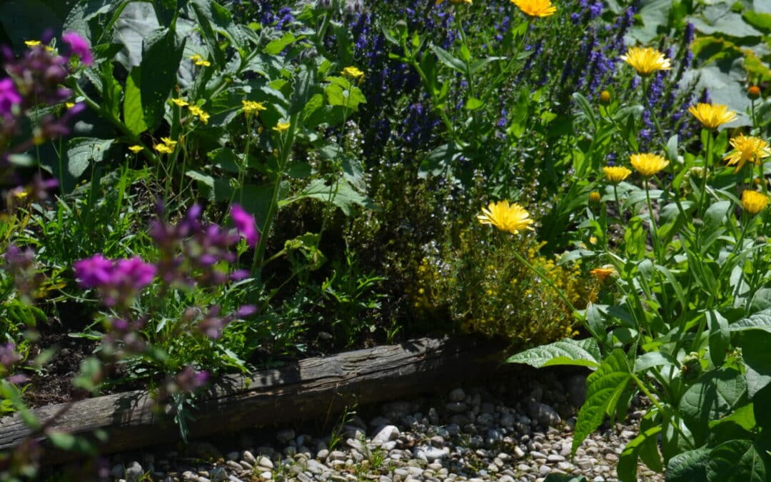 Mein Lebensgarten – mein Lebensland